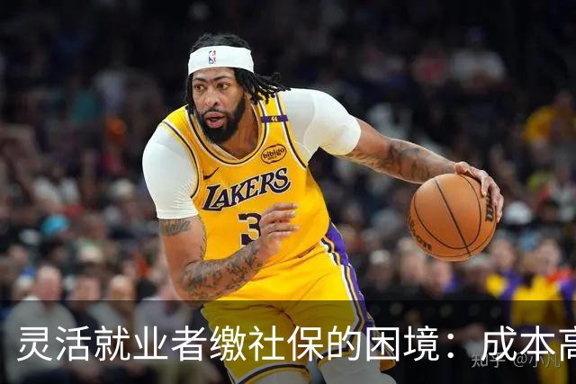 灵活就业者缴社保的困境：成本高、待遇低